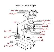 میکروسکوپ نوری